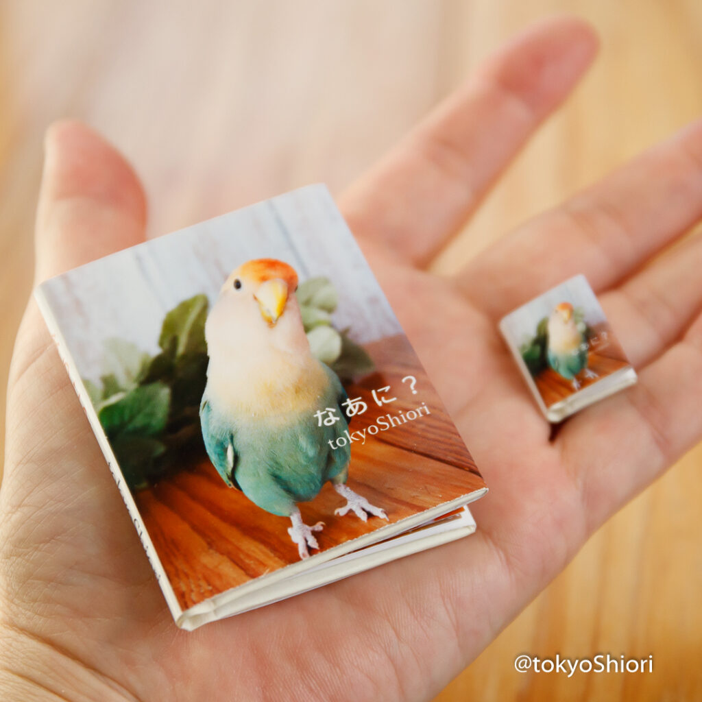 手のひらに乗せた手製ミニ写真集(2.5cm指先サイズと5cm手のひらサイズ)