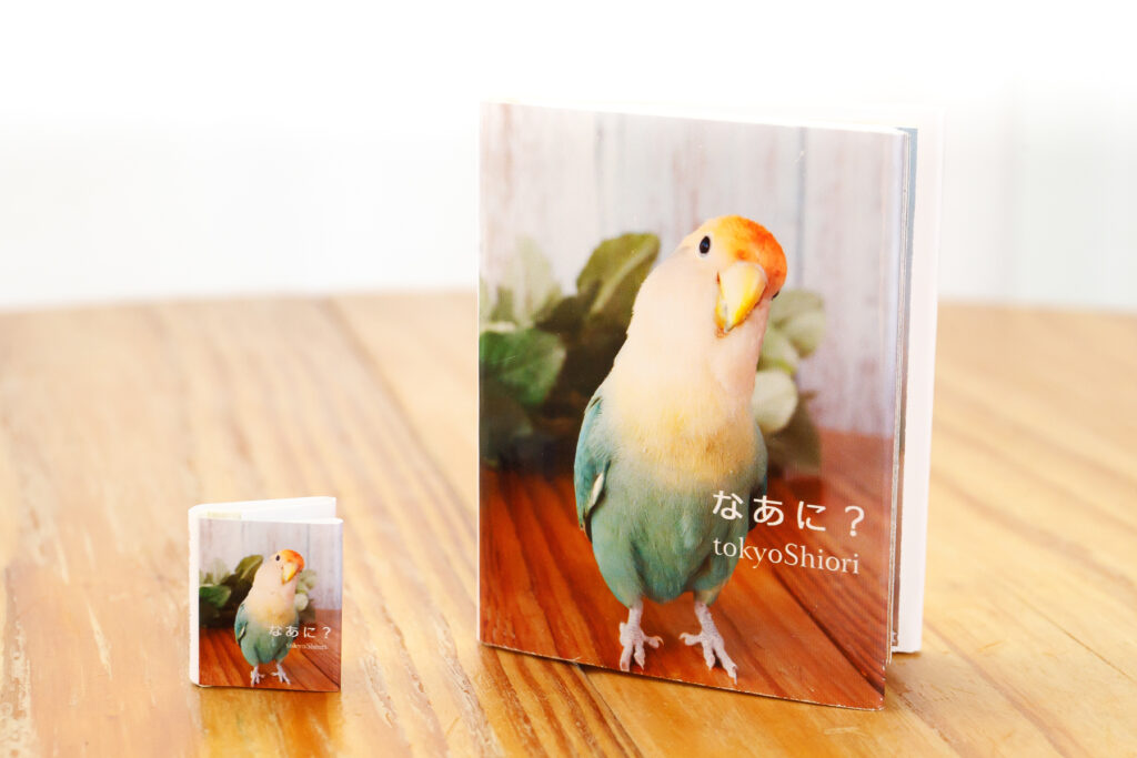 手のひらサイズ(5cm)写真集と、指先サイズ(2.5cm)写真集の表紙