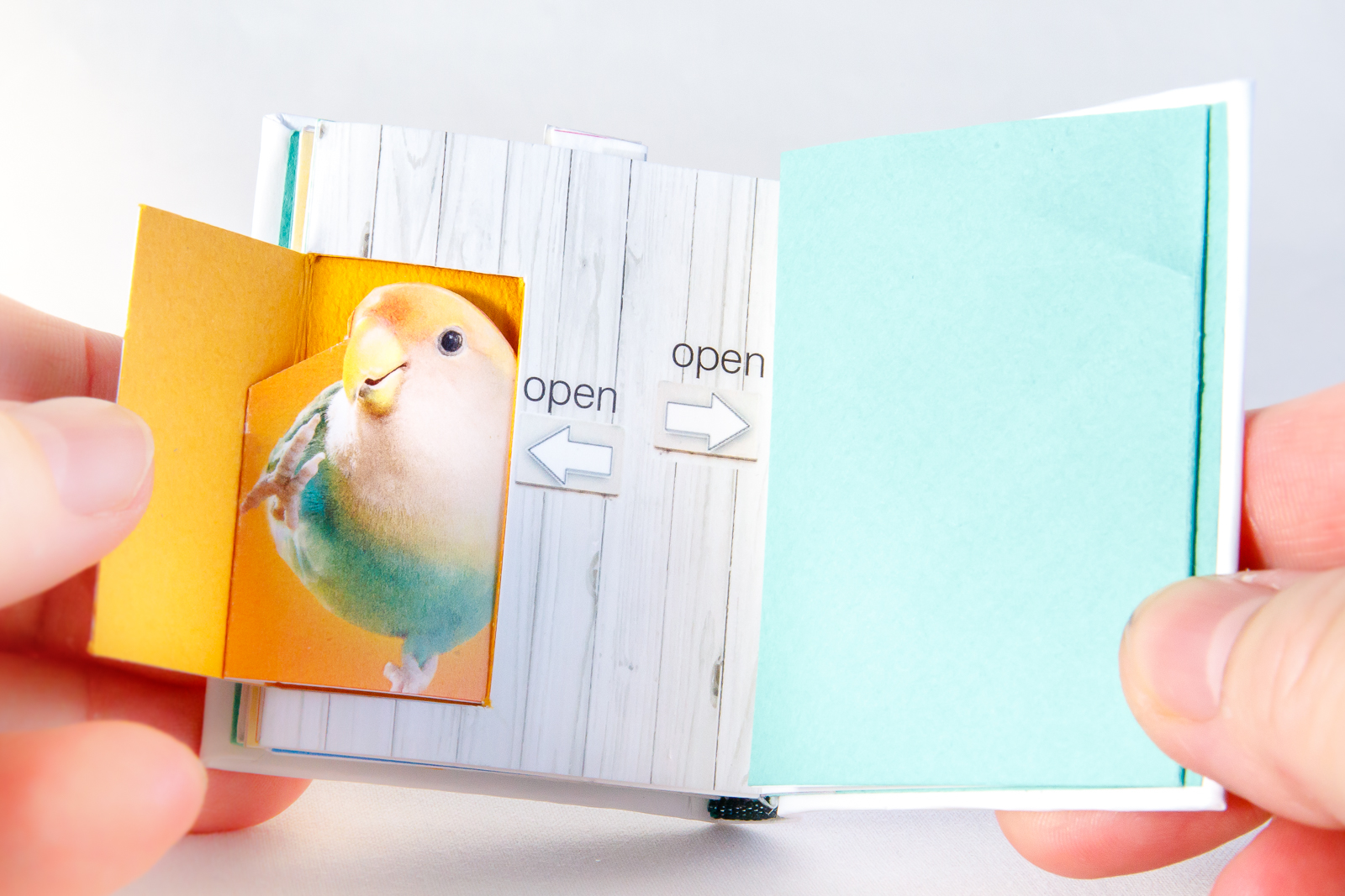 Pop-Up Lovebirdの仕掛けを開く手元と見開き