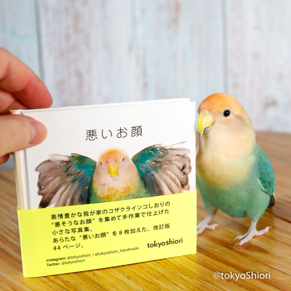 手製フォトブック『悪いお顔』（改訂版）の表紙とコザクラインコ「しおり」