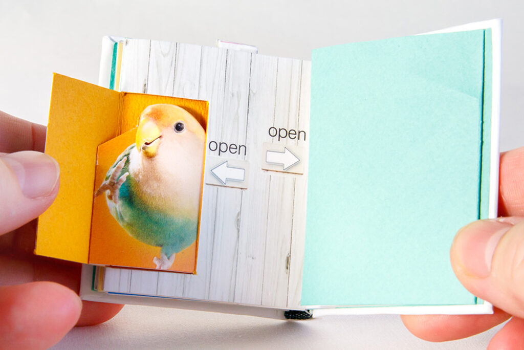 仕掛け絵本『Pop-Up Lovebird』のページを開いた写真