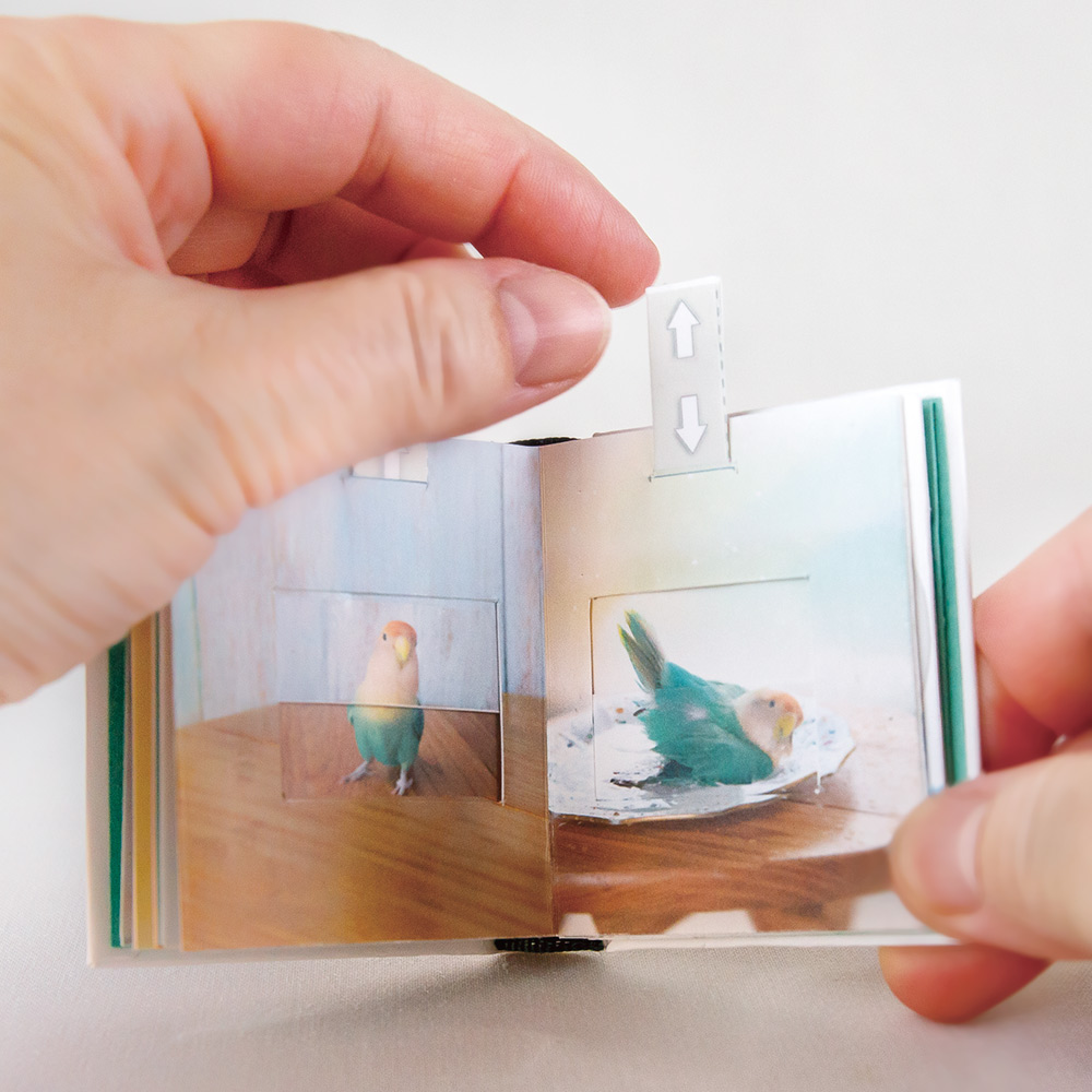 仕掛け絵本『Pop-Up Lovebird』のページを開いたところ