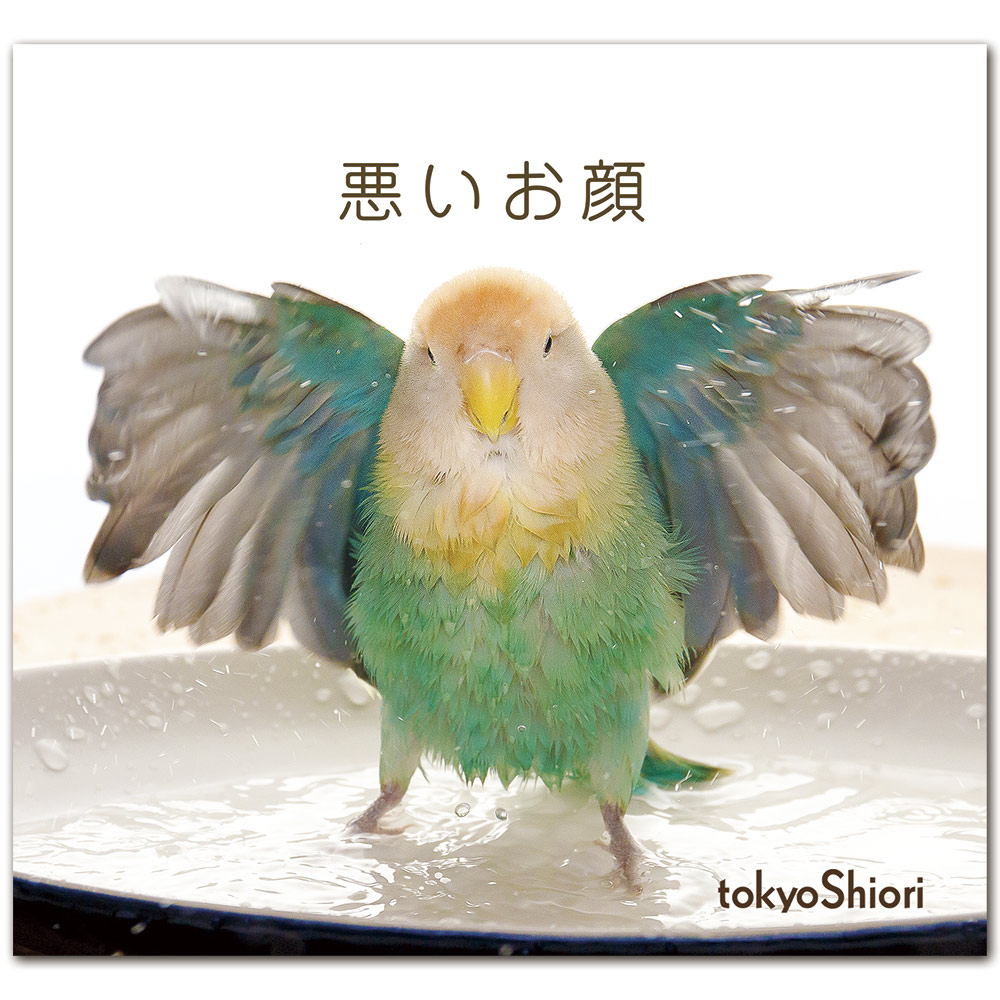 手製フォトブック『悪いお顔』表紙(帯なし)
