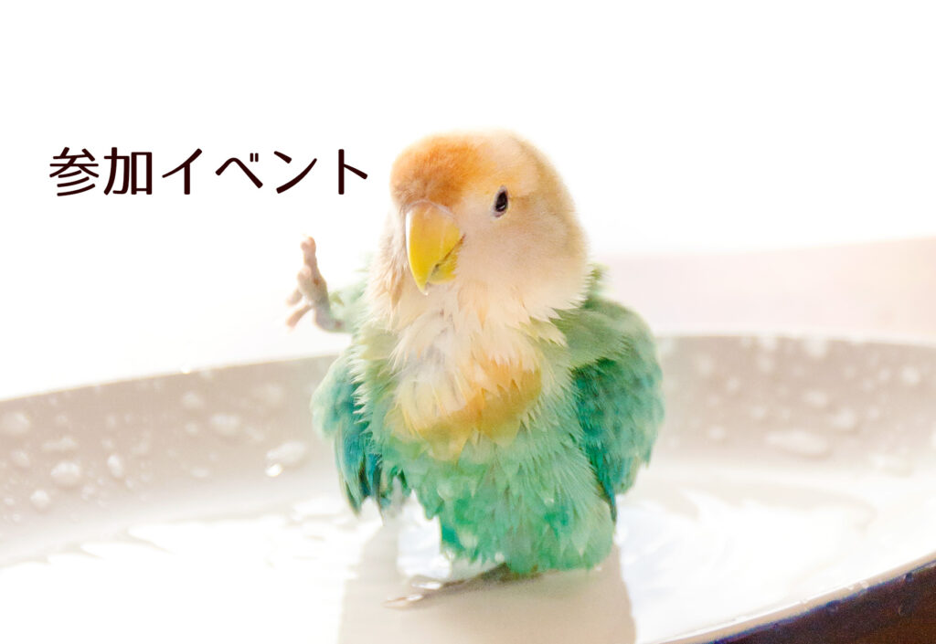 tokyoShiori（コザクラインコしおり＆製本）　イベント参加予定　